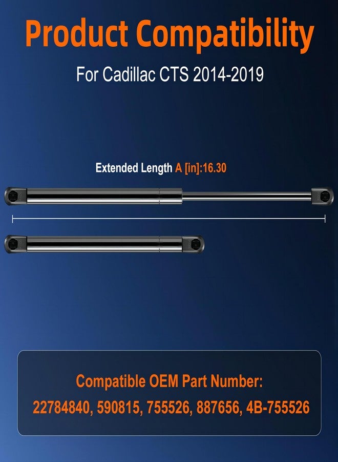 Euplokeer الكمية (2) 22784840 590815 دعامة رفع غطاء المحرك متوافقة مع كاديلاك CTS 2014-2019، بديل رقم 4B-755526 - Image 2